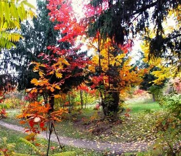 Краски осени уникальны