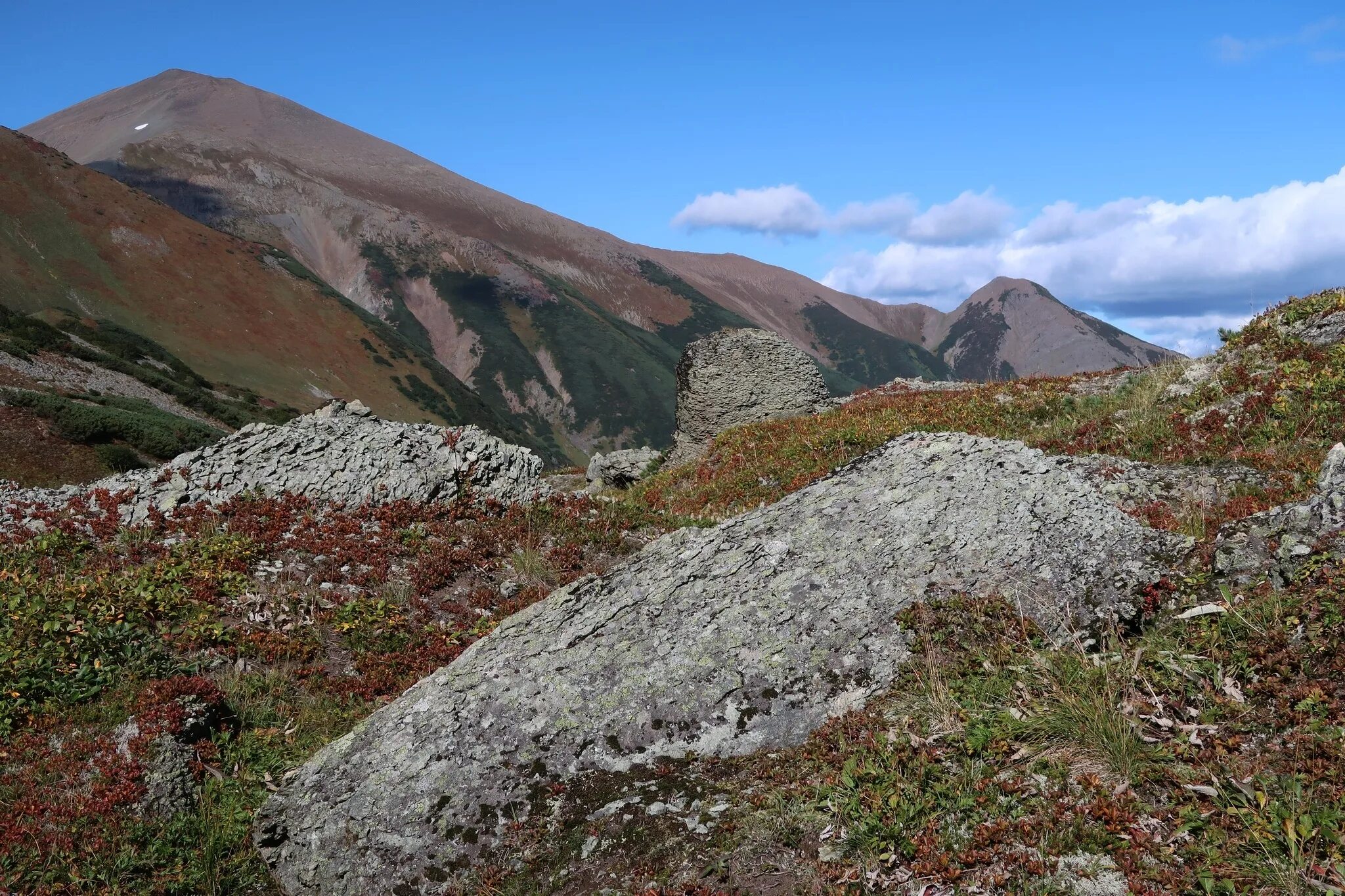 Mountain ancient mountain. Горные тундры Алтая. Пояс горных тундр Алтая. Альпийская (Высокогорная) тундра. Высокогорная тундра Алтай.