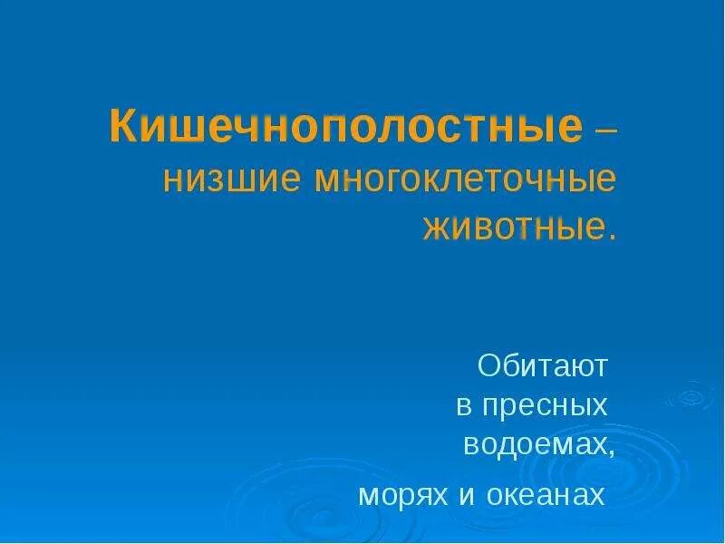 Млекопитающие хрящевые рыбы кишечнополостные членистоногие приматы. Кишечнополостные в пресных водоемах. кишечнополостные обитают в водоёмах каких. кишечнополостные обитают в водоёмах.