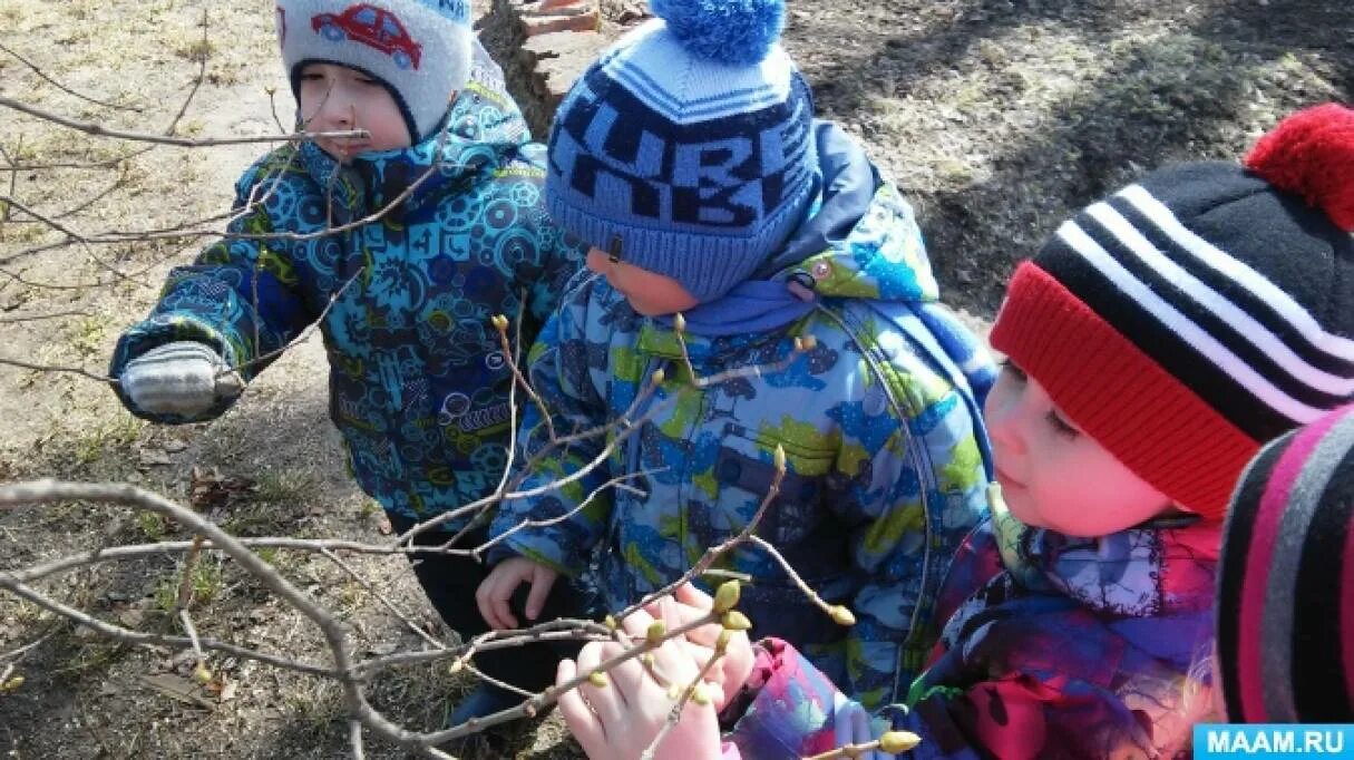 Наблюдение с детьми на прогулке. Дети на прогулке в детском саду весной. Наблюдение на прогулке весной. Детский сад наблюдение на прогулке весной. Весенняя прогулка в детском саду