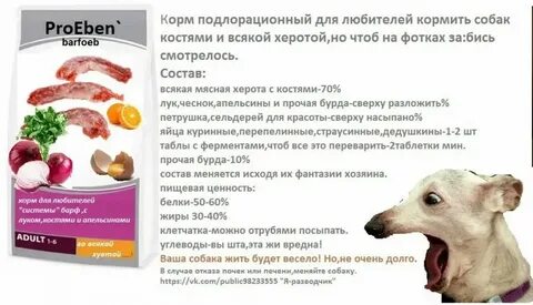Можно собакам давать кабачки