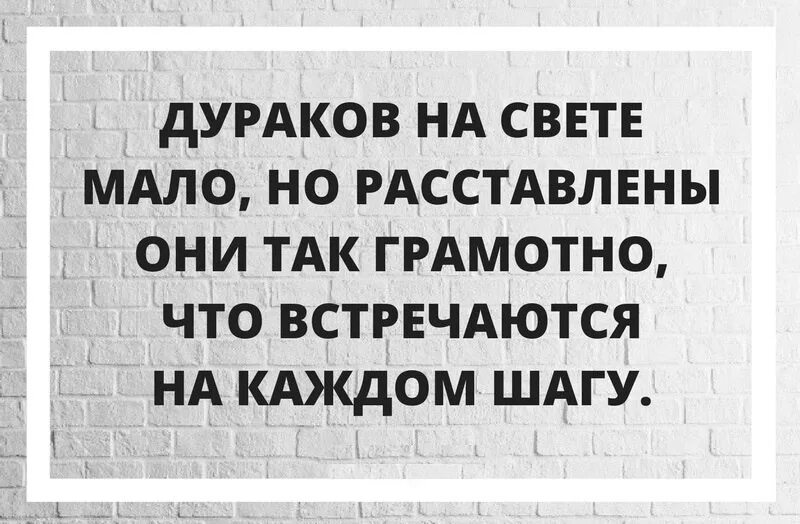 Пока на свете живы дураки обманом жить. Самая мощная организация в мире. Умный дурак. Дурак юмор. Фразы про дураков.