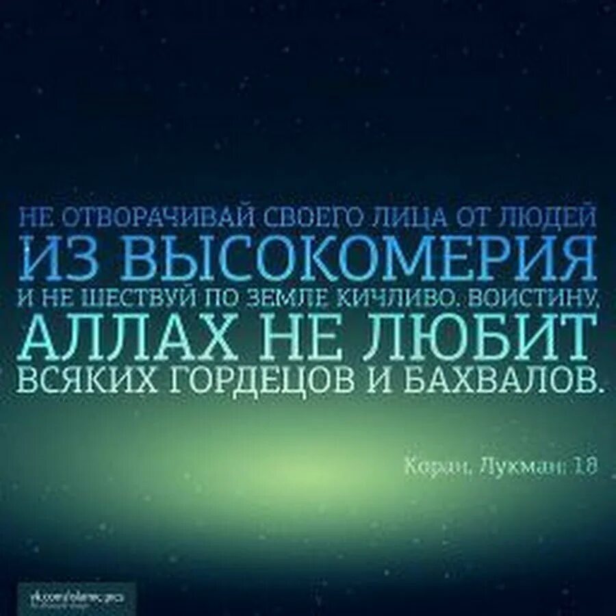 Сура про любовь. Мусульманские цитаты. Исламские цитаты. Цитаты из Корана. Красивые цитаты из Корана.