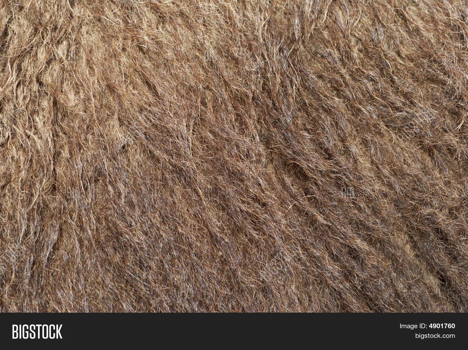 Camel шерсть. Мех верблюда. шерсть верблюда. шерсть верблюда фактура. верблюжья шерсть фактура.