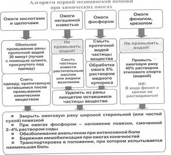 Первая медицинская помощь схема
