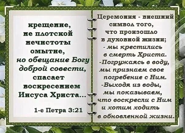 Крещение не плотской нечистоты омытие но обещание богу доброй. Крещение не плотской нечистоты омытие. Крещение не плотской нечистоты омытие но обещание богу доброй. Крещение обещание богу доброй совести. С днём крещения поздравления христианская.