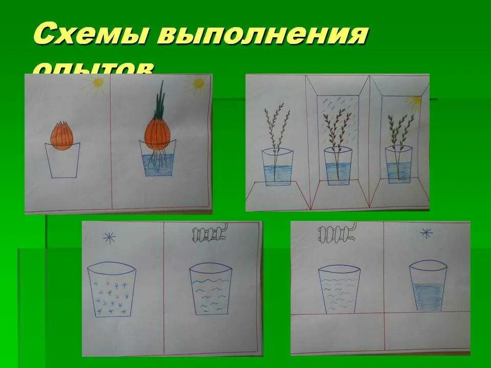 Экспериментирование старшая группа проект