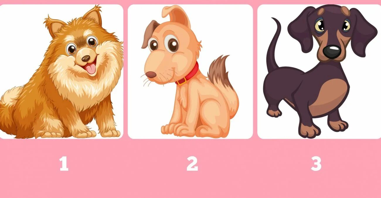 Тест на подходящую собаку. Выбери собаку. Выберите щенка и узнайте. Какие выбери собаки. Выберите собаку и узнайте характер.