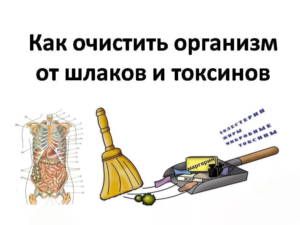 Почистить организм от шлаков. Как очистить организм. очистка организма от шлаков и токсинов. очистить организм от шлаков. очищение организма от токсинов.