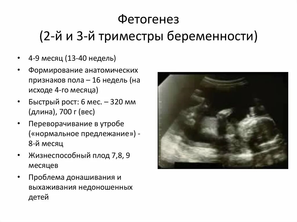 Акушерские недели признаки. 2-3 Недели беременности симптомы. Симптомы при беременности 3-4 недели. Беременность 4 недели симптомы. Симптомы беременности на 3 недели.