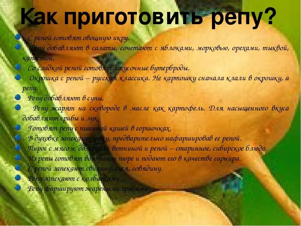 Репа польза. Чем полезна репа. как приготовить репу. репа польза и вред для здоровья. для чего полезна репка.