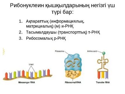 Талула Райлидің интимдік фотосуреттері