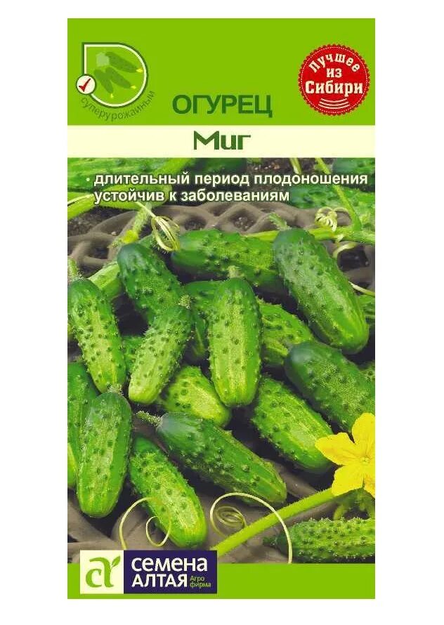 Семена огурец сибирский кустовой. Алтая/ 5 шт. Огурец сестрица алёнушка f1. Семена алтая каталог. Сорт огурцов хабар.