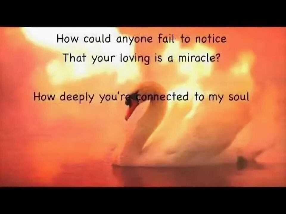 I could be with anyone. I could be with anyone