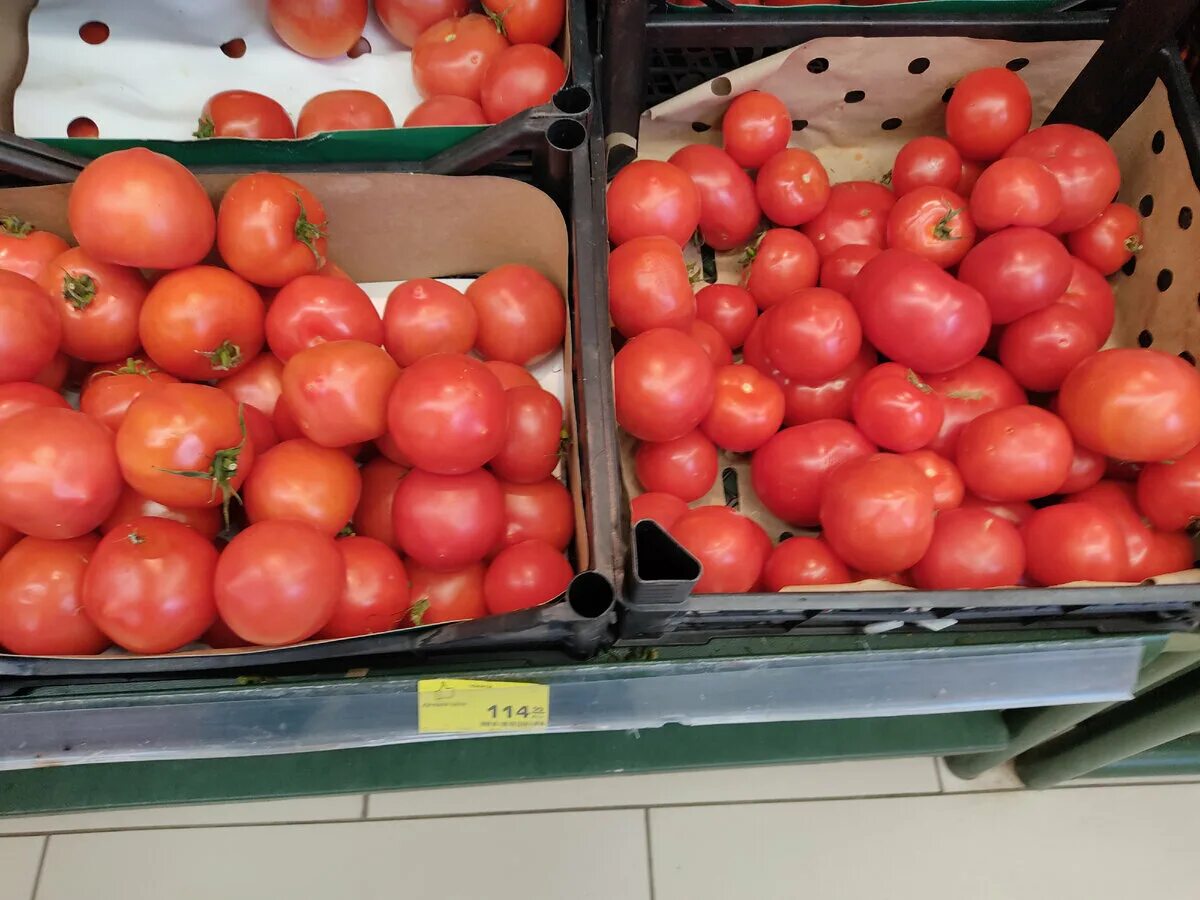 Купить 5 кг помидор. Магнит "помидор". Килограмм помидоров. Томаты магнит. Помидоры в магазине.