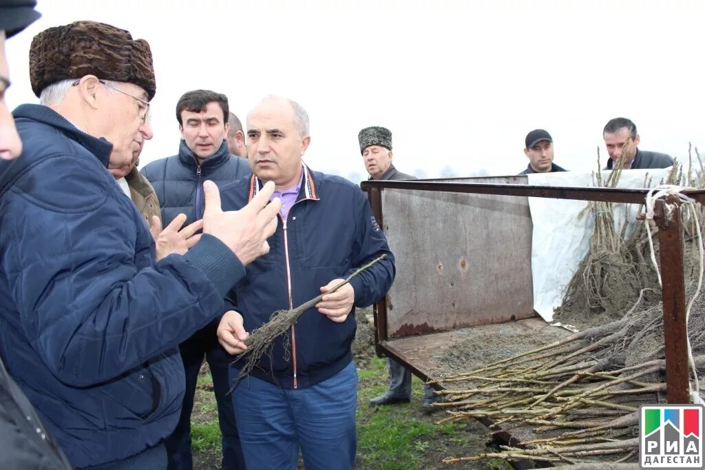 Свадьба хамаматюрт нагаев. Погода шулани. Погода в уральске. Свадьба хамаматюрт нагаев. Прогноз погоды в хамаматюрте на месяц.