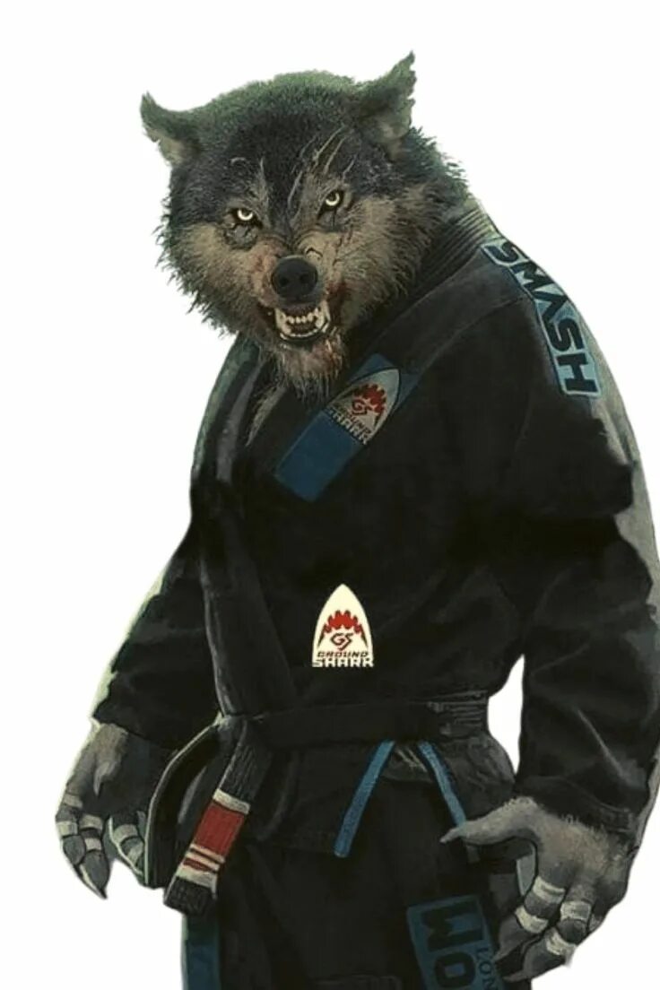 Bjj животные. Медведь тайский бокс. Волк джиу джитсу. Джиу-джитсу ground shark. Звери боевые искусства.