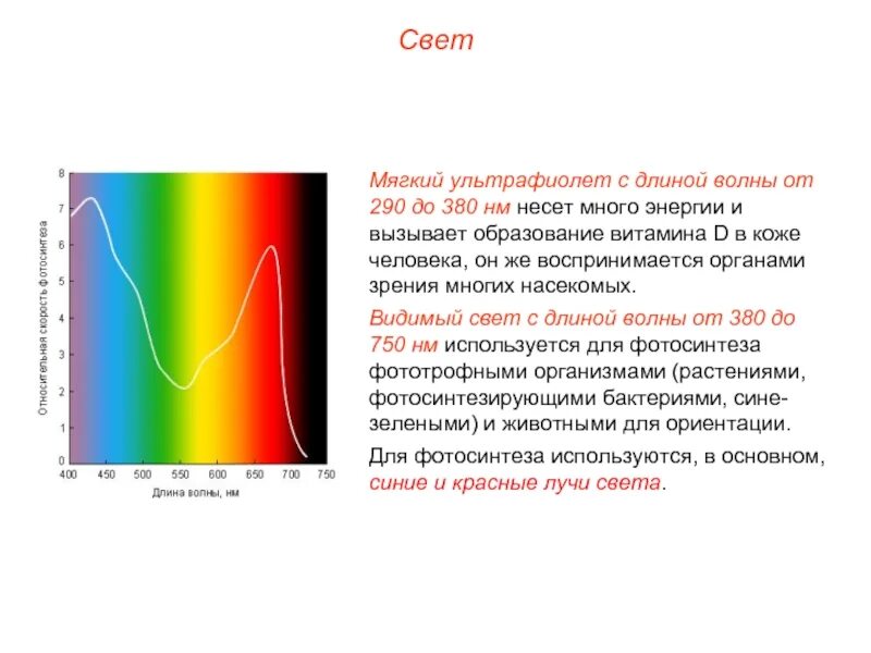 Красный световой луч с длиной волны 700. УФ спектр длина волны. УФ излучение длина волны. Спектр света длины волн ультрафиолетового. Спектры УФ излучения.