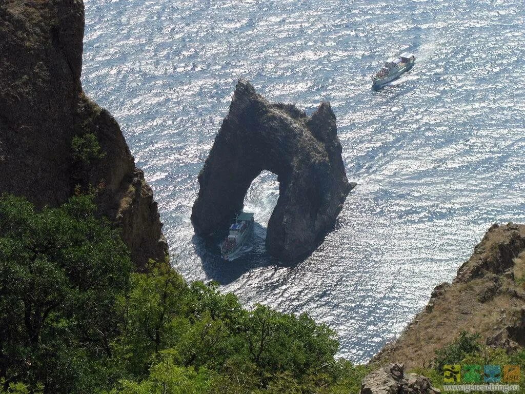 Карадагская змея в крыму