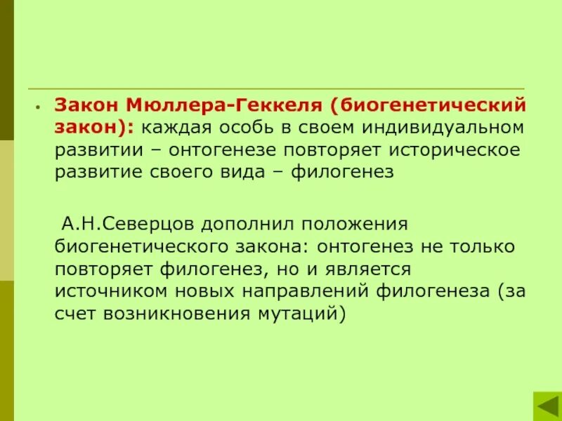 Закон Геккеля и Мюллера биогенетический закон. Биогенетический закон Геккеля Мюллера. Теория Мюллера Геккеля. Биогенетический закон это в биологии.