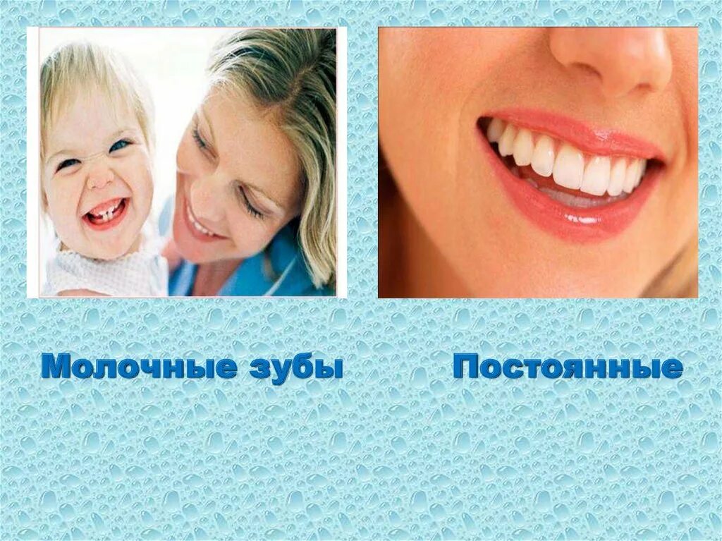Дети зубы берегите. Как сохранить зубы здоровыми и красивыми. постоянные и молочные зубы для презентации.