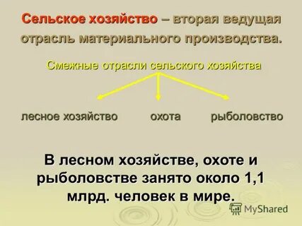 Тема география сельского хозяйства