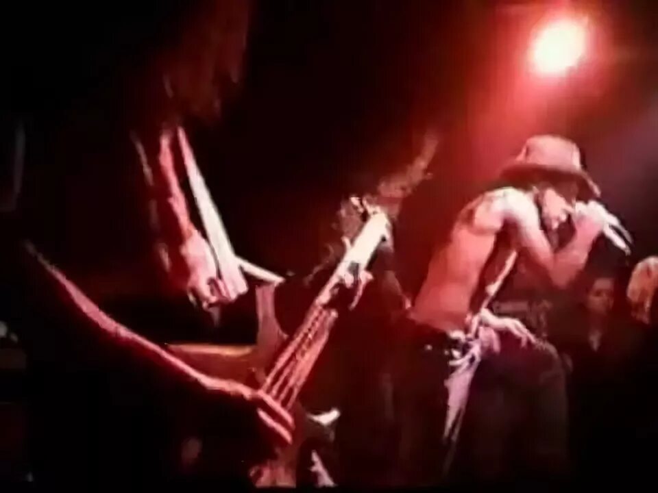 Deathtubes. Brutal Truth - 1997 Sounds of the animal Kingdom. Brutal Truth Live.