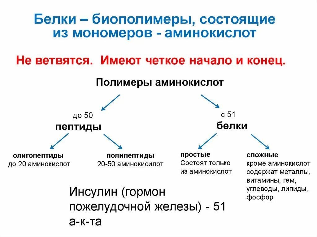 Биополимеры крови