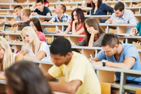 Did you went to university