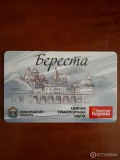 Карта береста великий новгород