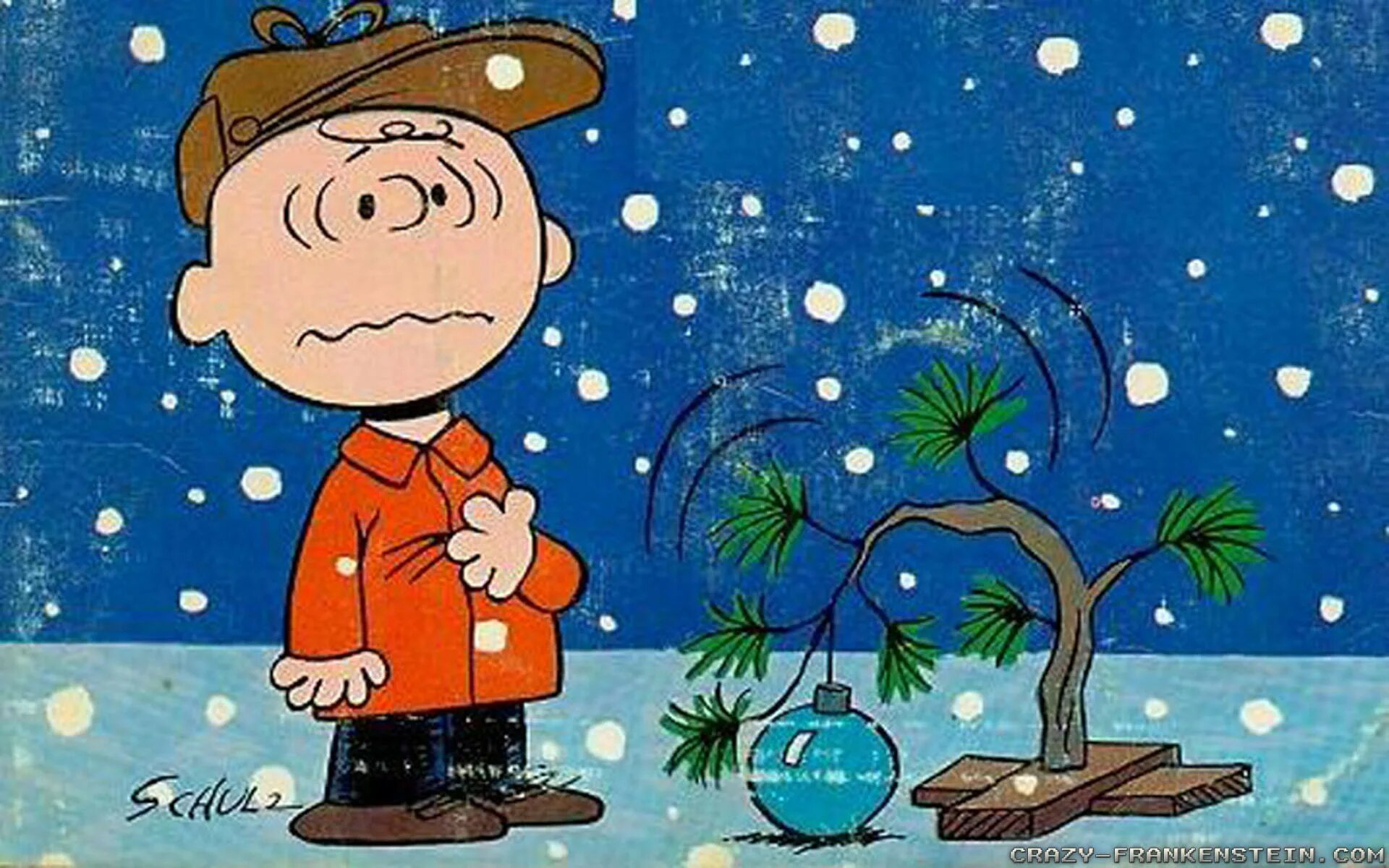 Charlie brown. Чарли Браун. Peanuts Charlie Brown. Charlie Brown Christmas. Charlie Brown Singer.