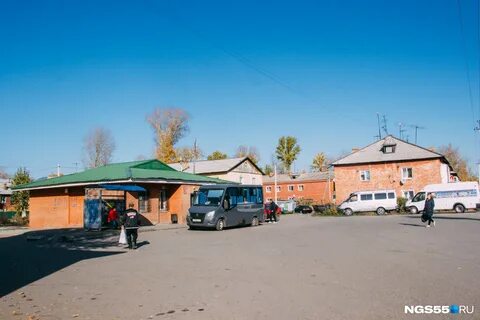 Погода береговое новосибирская область на 10 дней