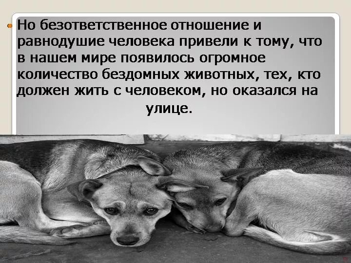 Когда равнодушие становится преступлением сочинение итоговое. Равнодушие и жестокость. равнодушное отношение к людям. высказывания о равнодушии и жестокости. равнодушие и чёрствость.