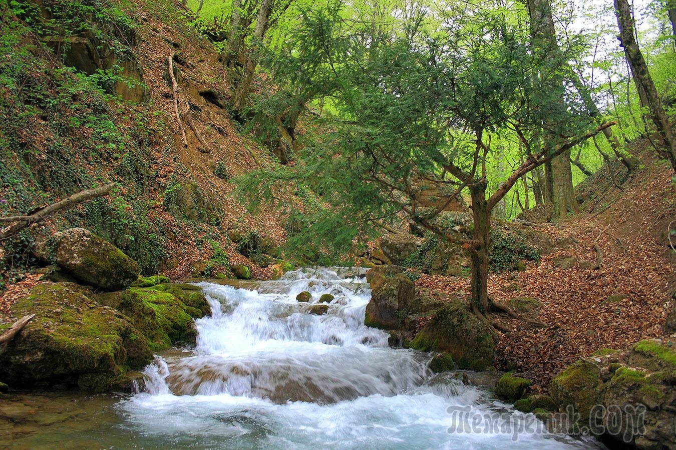 Ущелье яман-дере. Река восточный улу-узень. Узень баш алушта. Узень баш кордон. Узень баш кордон.