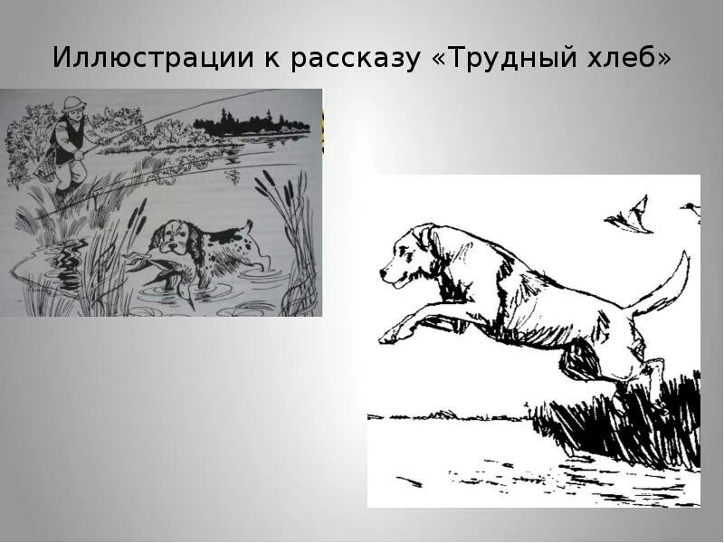 Чанг трудный хлеб. Рассказ е Носова трудный хлеб. Носов трудный хлеб иллюстрация к рассказу. Е.И.Носов. "Трудный хлеб". Иллюстрации охотника.