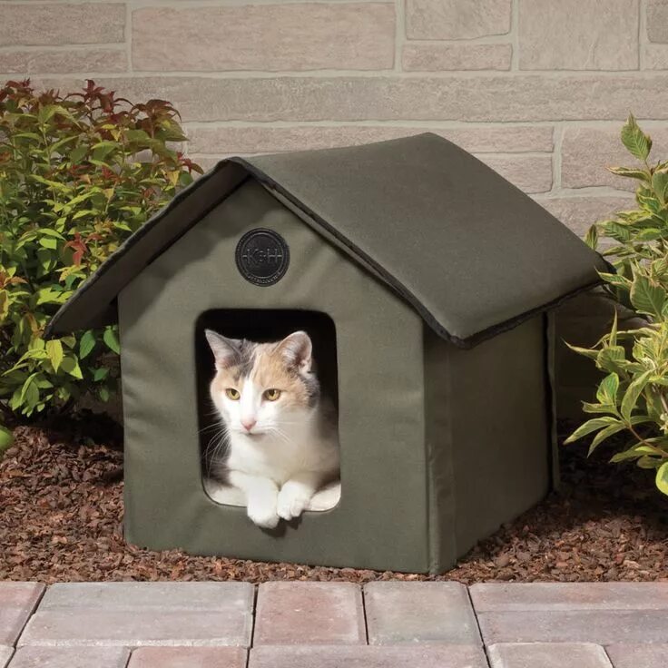 Shop Cat Cat essentials, Cat house diy, Cat supplies