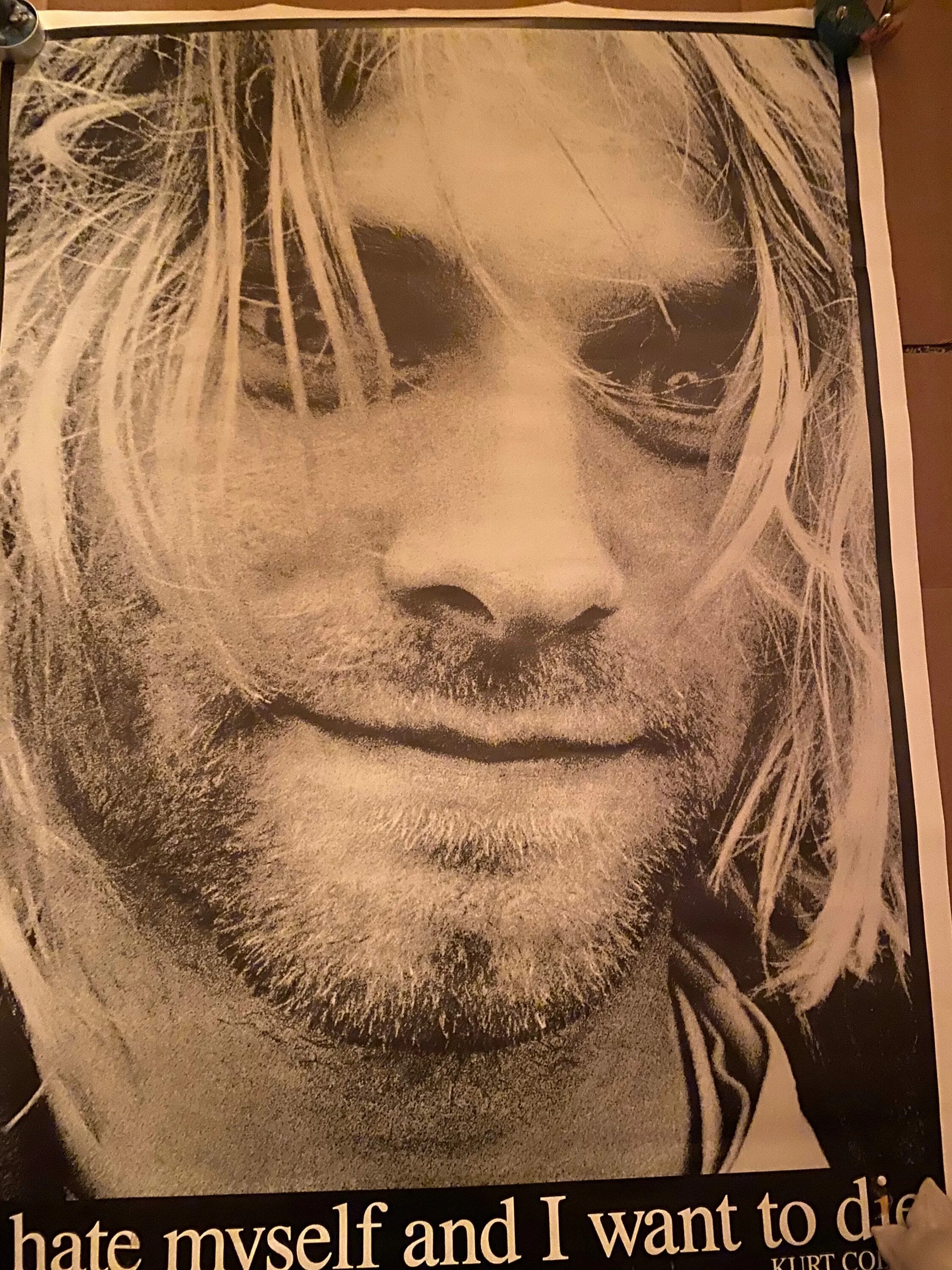 Nirvana i hate myself. Nirvana i hate myself. I hate myself and want to die nirvana. Nirvana i hate myself. Футболка с куртом кобейном.