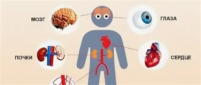 Органы мишени при артериальной. Органы мишени артериальной гипертонии. Поражение органов мишеней при артериальной гипертензии. Поражения органов мишеней при гипертонии. Органы мишени при гипертонической.