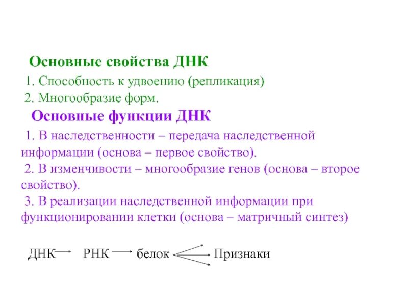 Свойства днк. Характеристика днк. Свойства днк кратко. Свойства днк. Характеристика днк.
