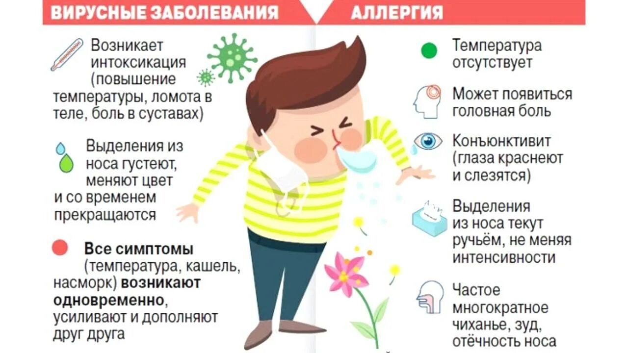 Плохо отходит кашель у ребенка. Аллергия или простуда. аллергический кашель у ребенка симптомы. симптомы простуды и аллергии. простудная аллергия у детей.