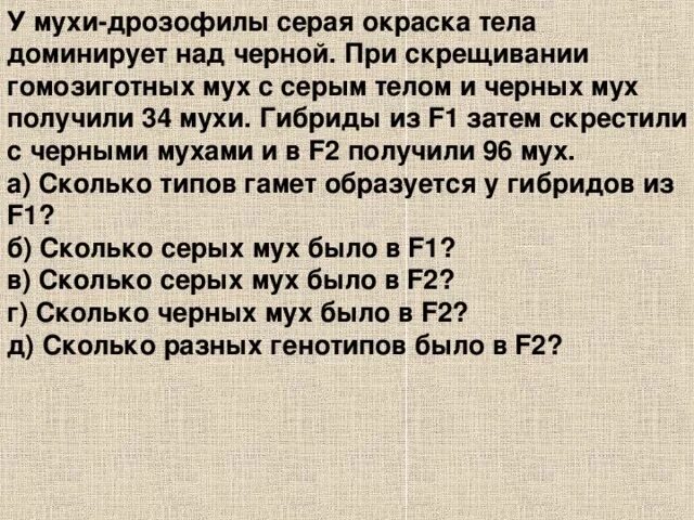 При скрещивании мух дрозофил имеющих нормальные крылья. При скрещивании мух дрозофил имеющих нормальные крылья