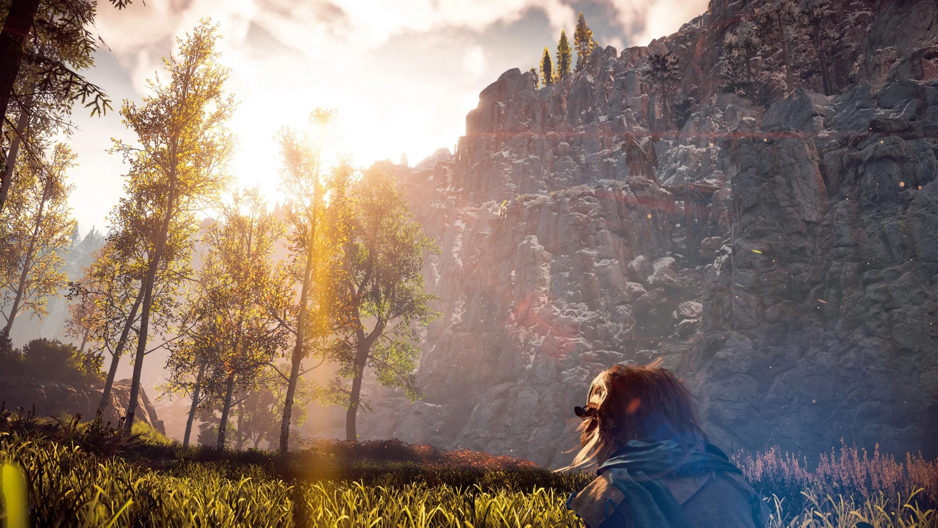 Horizon добавить. Хорайзон. horizon zero dawn природа. horizon zero dawn зима. хорайзон форбидден вест.