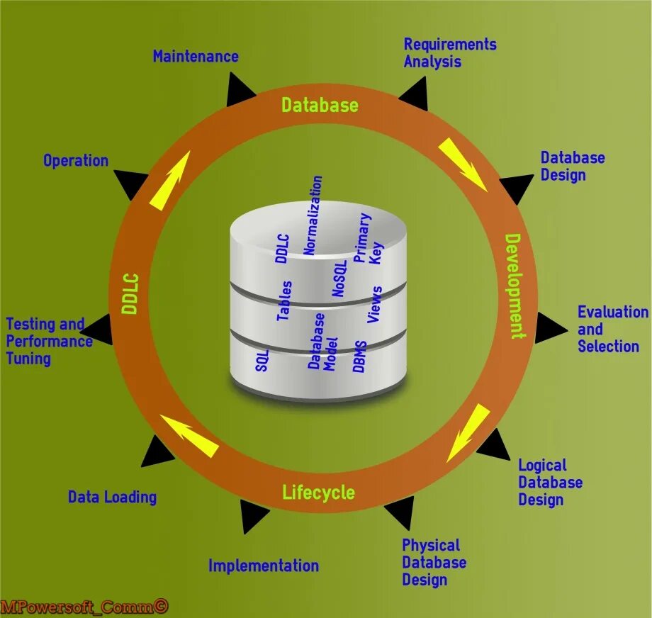 Database design. Database design. Database development. Database creator. Behind the secret.