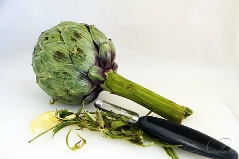 Артишок какой