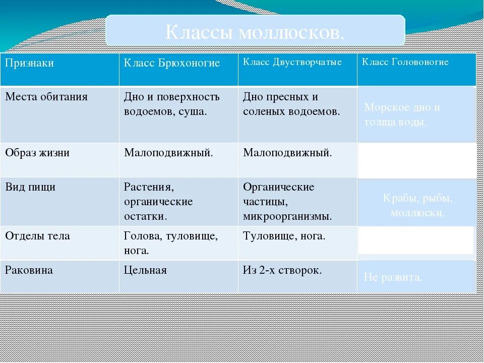 Ракообразные среда обитания таблица. Органы измельчающие пищу у брюхоногих двустворчатых и головоногих. органы измельчающие пищу у двустворчатых. таблица по биологии 7 класс головоногие моллюски. характеристика классов моллюсков.