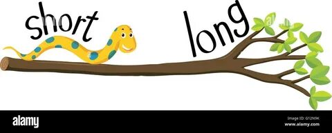 Long picture