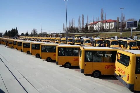 Парк школьных автобусов