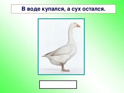 В воде остался а сух остался