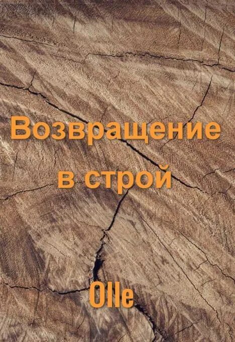 Возвращение в строй читать. Возвращение в строй. возвращаюсь в строй. возвращение в строй фото. книга волос андрей «возвращение в панджруд» картинка.
