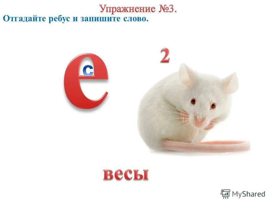 Ребус массаж. Ребус с ответом мышь. Ребус 30 30 40. Ребус весы. Ребус грамм.